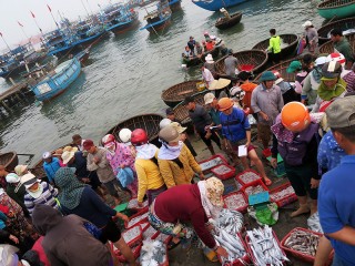 Hoian Eco Cooking Class Half-day Tour - Private tour - 30% off