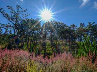 Nha Trang - Dalat Holiday 5 Days - 40% off 