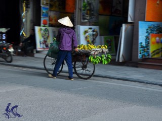 Hanoi - Ninh Binh - Halong Bay 5 Day Tour - 40% off