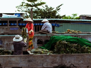 Mekong Delta 1 Day Tour - Private tour - 45% off