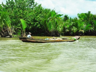 Mekong Delta 1 Day Tour - Private tour - 45% off