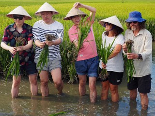Hoi An Farming - Fishing - Cooking Private Day tour - 20% off