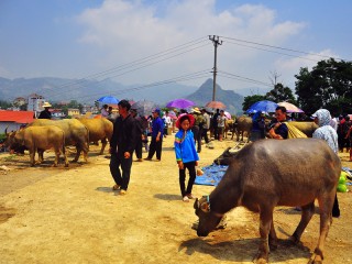 Sapa 3 Days Tour by Limousine bus