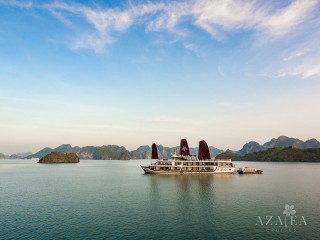 Azalea Cruises - 25% off