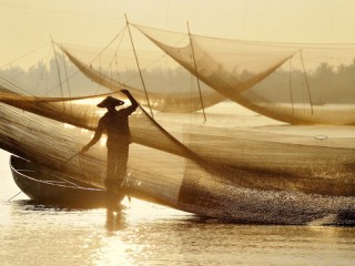 Hoian Eco Cooking Class Half-day Tour - Private tour - 30% off