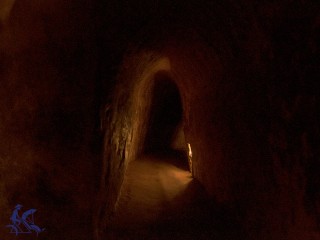Saigon - Cu Chi Tunnels - Vung Tau - Mekong Delta 5 Day Tour - 40% off