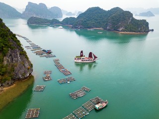 Escape Sails - Day Cruise - 35% off