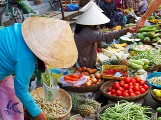 Hoian Eco Cooking Class Half-day Tour - Private tour - 30% off