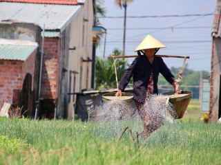 Highlights of Vietnam 7 Days Tour - Private tour - 30% off