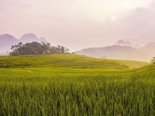 Pu Luong Nature Reserve 3 Days Tour - Private tour - 50% off