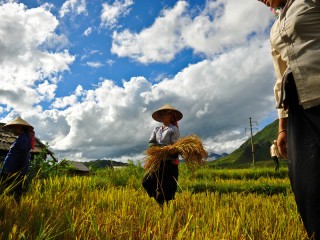 Pu Luong Nature Reserve 3 Days Tour - Private tour - 50% off