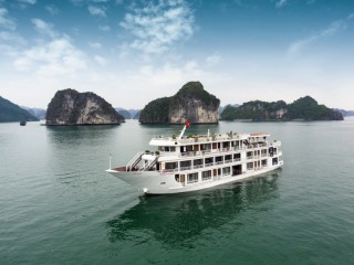 Alisa Cruise - 40% off
