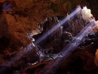 Halong Bay 1 Day Tour - Private tour - 50% off
