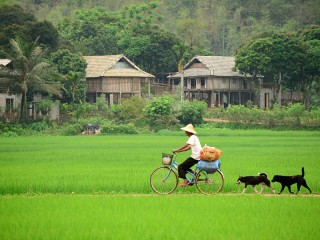 Mai Chau Valley 2 Days Tour - Private tour