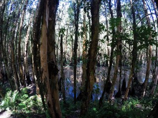 Mekong Delta 3 Days Tour - Private tour - 40% off