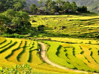 Pu Luong Nature Reserve 3 Days Tour - Private tour - 50% off