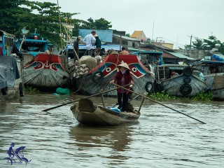 Mekong Delta 1 Day Tour - Private tour - 45% off