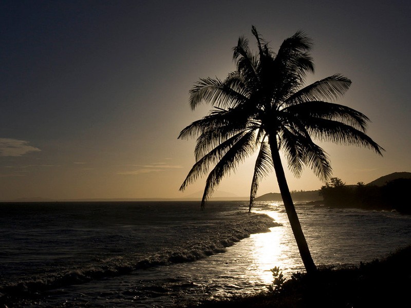 Saigon - Mui Ne - Dalat - Mekong Delta 9 Days Tour - 30% off