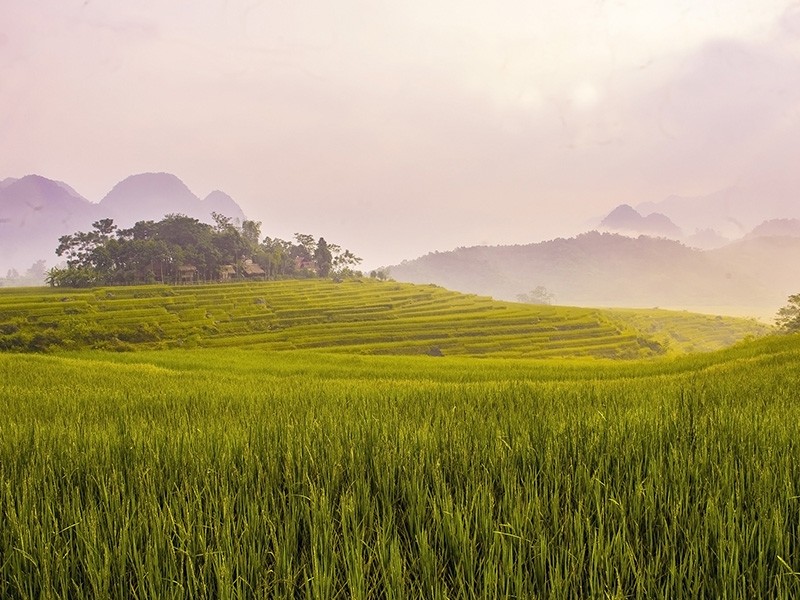 Pu Luong Nature Reserve 3 Days Tour - Private tour - 50% off