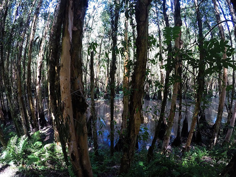 Mekong Delta 3 Days Tour - Private tour - 40% off