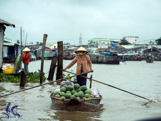 Mekong Delta 1 Day Tour - Private tour - 45% off
