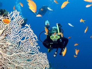 Nha Trang - Dalat Holiday 5 Days 4 Nights Package Tour - 40% off 