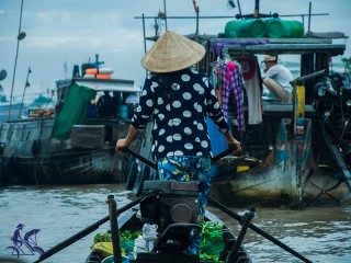 Mekong Delta 2 Days Tour - Private tour - 45% off