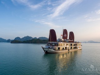 Azalea Cruises - 25% off
