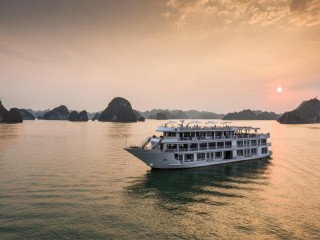 Alisa Cruise - 40% off