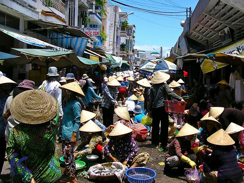 Hue City Tour 1 Day - Private tour - 30% off
