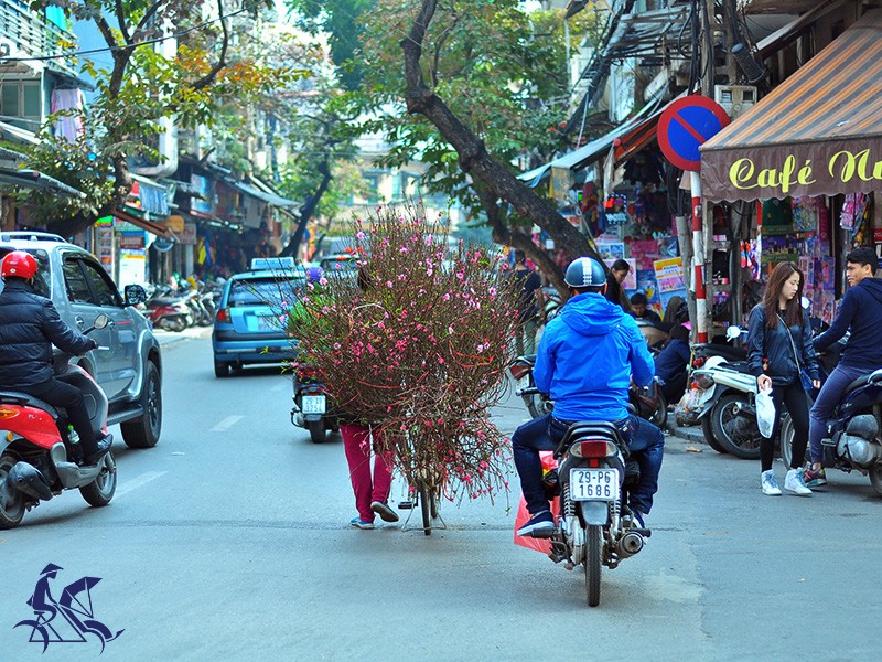 Hanoi Cyclo Tour and Water Puppet Show for Half Day Tour (4 hours) - Private tour - 40% off